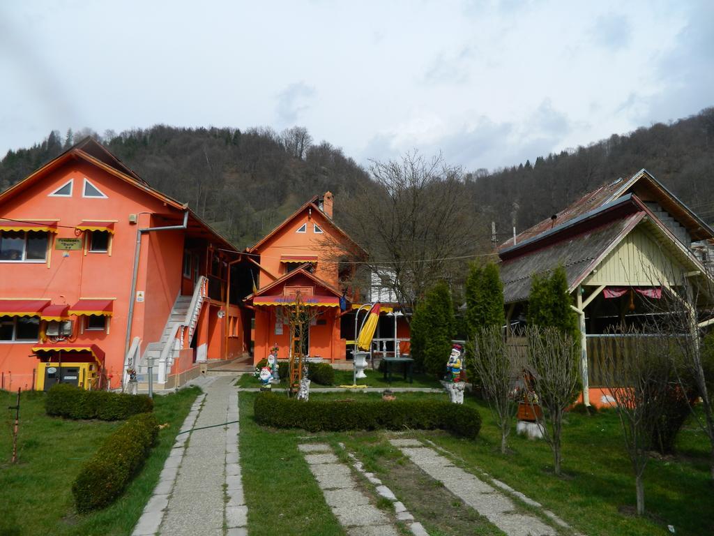 Pensiunea D O R U Arges Hotel Cotenesti Exterior photo