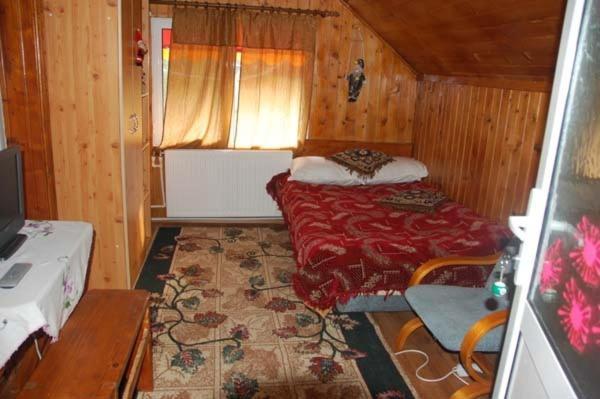 Pensiunea D O R U Arges Hotel Cotenesti Room photo